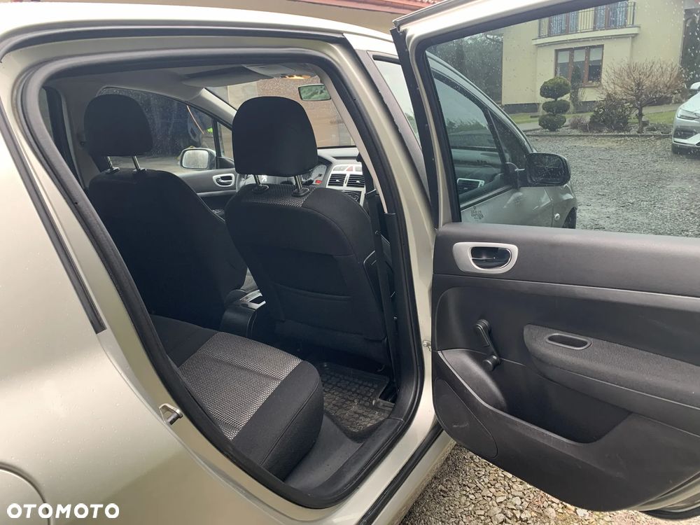 Peugeot 307 1.6 Premium - 13