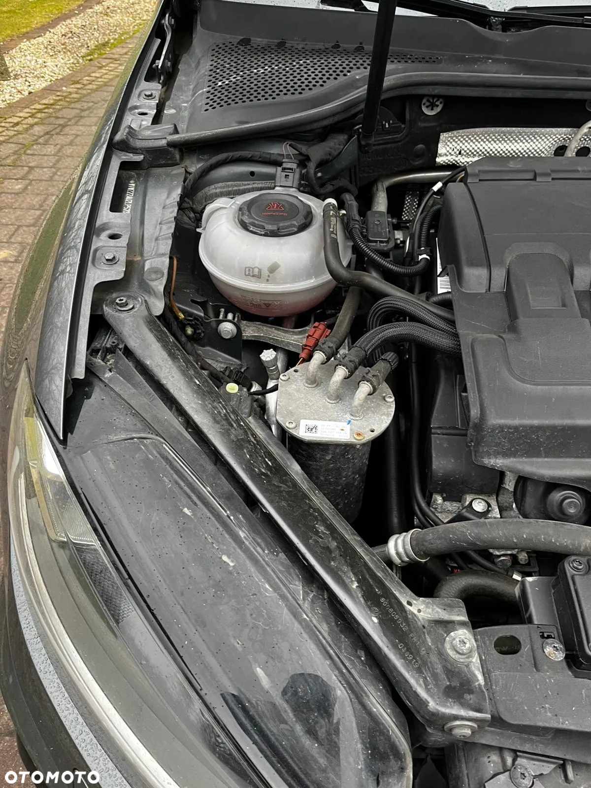 Volkswagen Golf VIII 2.0 TDI R-Line DSG - 11