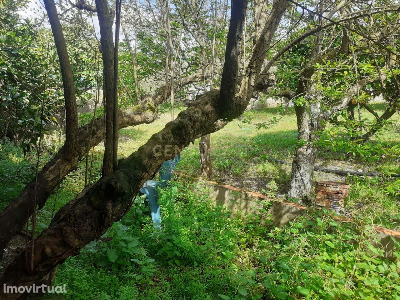 Exclusivo | Terreno com Benfeitorias em Santo Isidro de Pegões - Grande imagem: 4/14