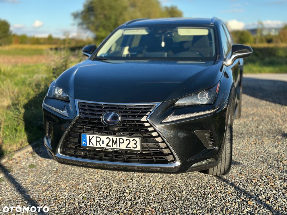 Lexus NX 300h Elegance Optimum AWD - 20