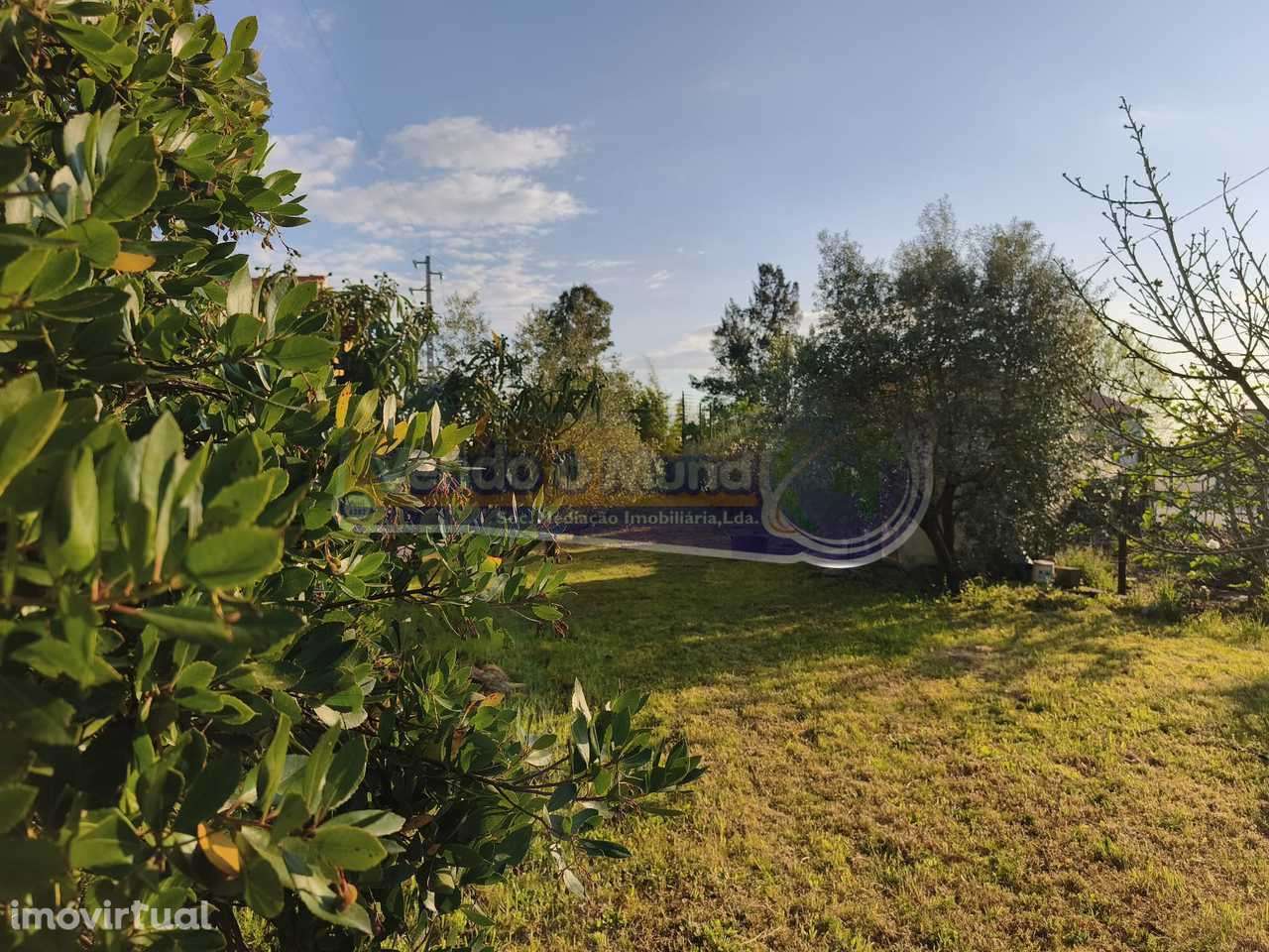 Terreno em Marinhais (M812) - Grande imagem: 5/7