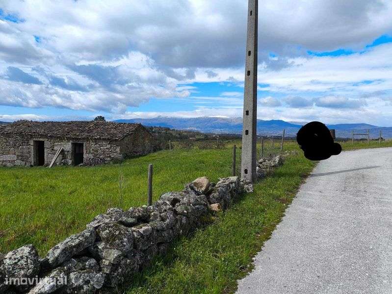 Vendo Quinta com casa para recuperar - Grande imagem: 2/9