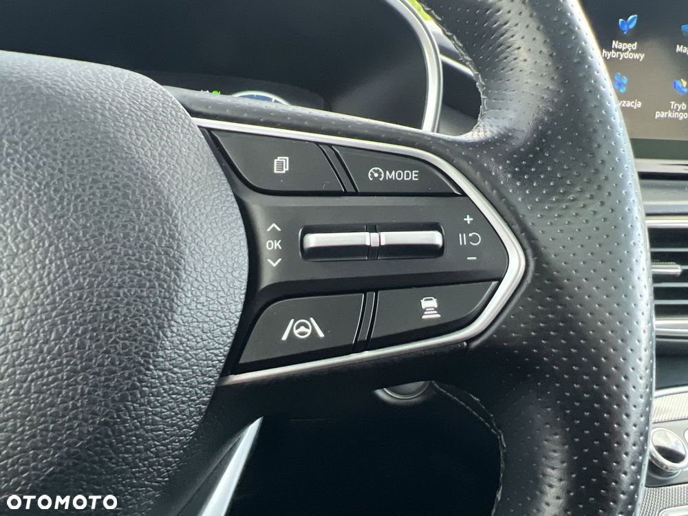 Hyundai Santa Fe - 17
