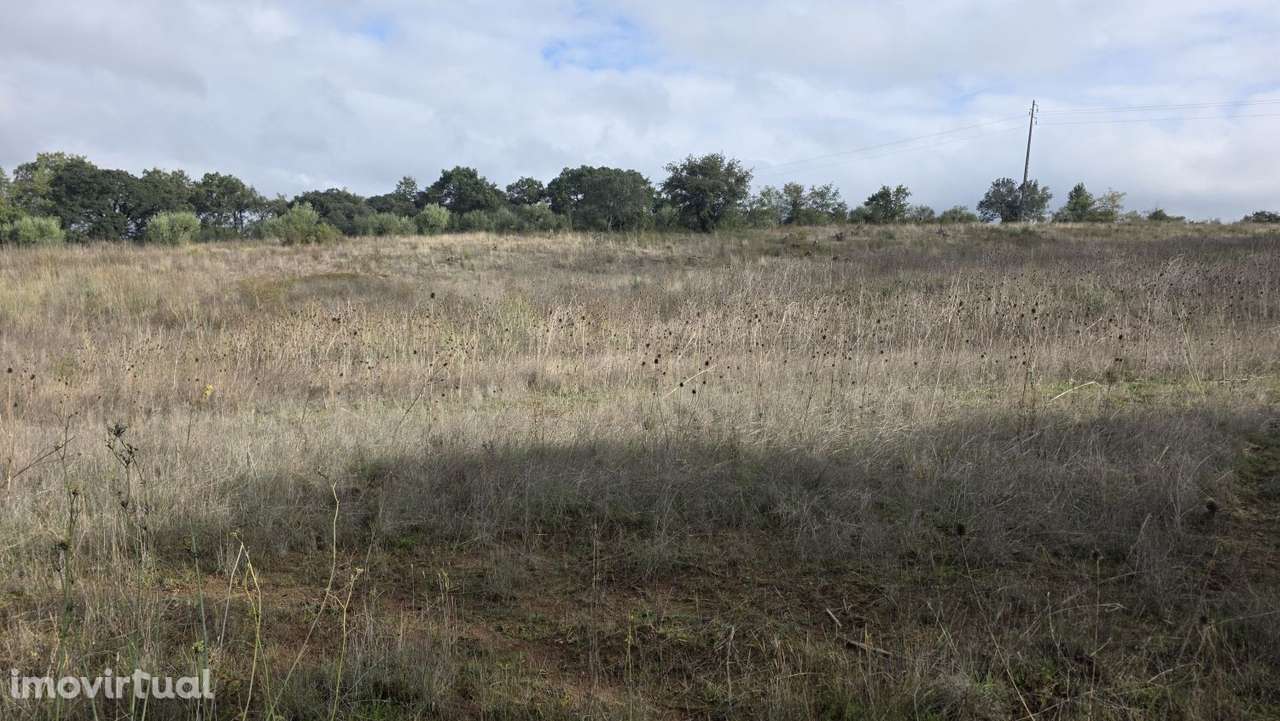Terreno 18.800 m2, pequeno lago, com potencial para pomar ou agricultu - Grande imagem: 5/25