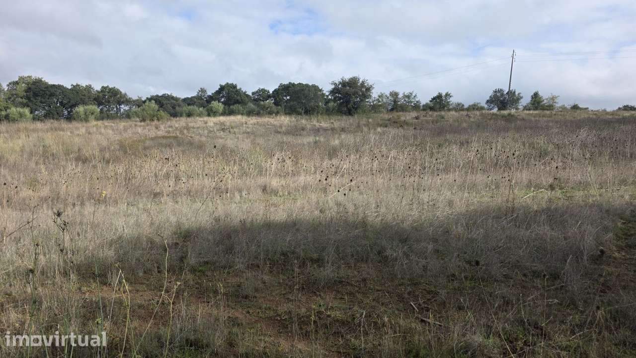 Terreno 18.800 m2, pequeno lago, com potencial para pomar ou agricultu - Grande imagem: 5/25