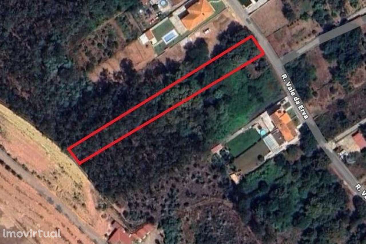 Terreno com viabilidade de construção - Grande imagem: 4/6