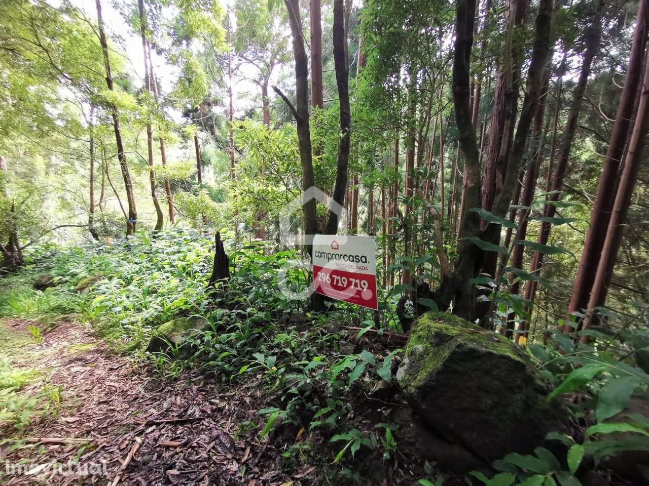 Terreno com 696,00 m2 - Lomba da Fazenda - Nordeste - Grande imagem: 3/8