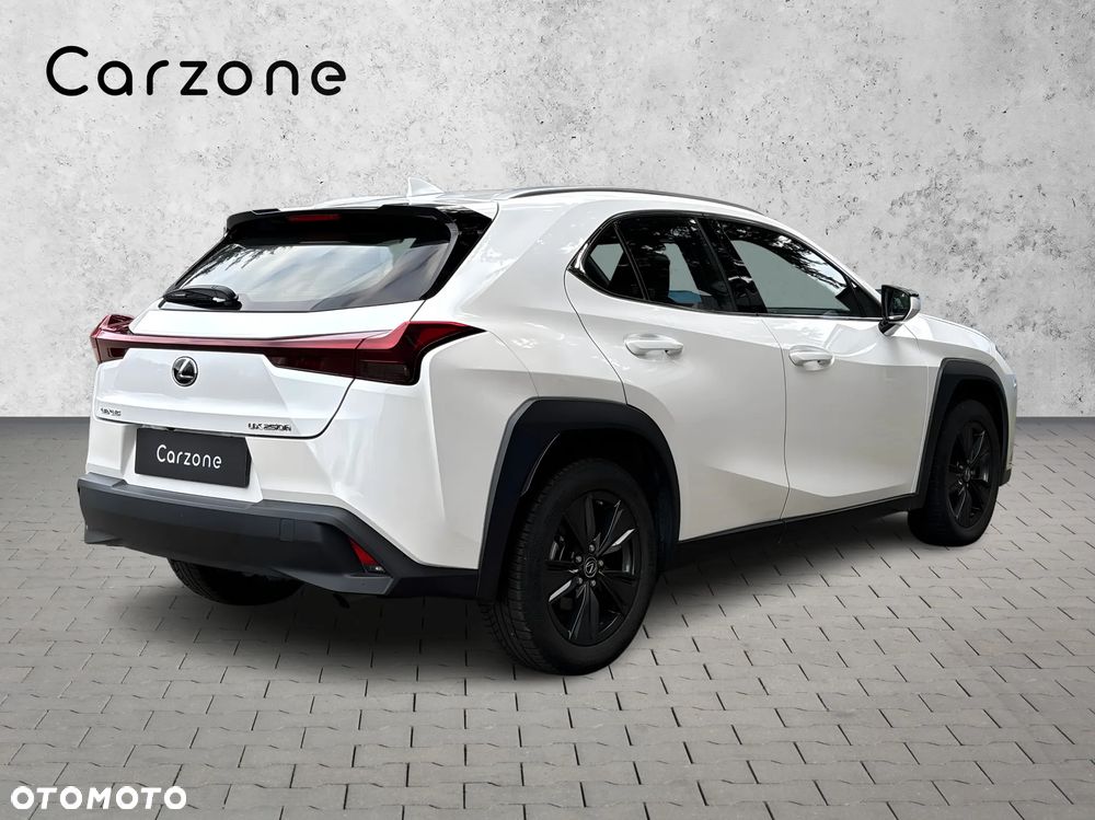 Lexus UX 250h GPF Business 2WD - 5