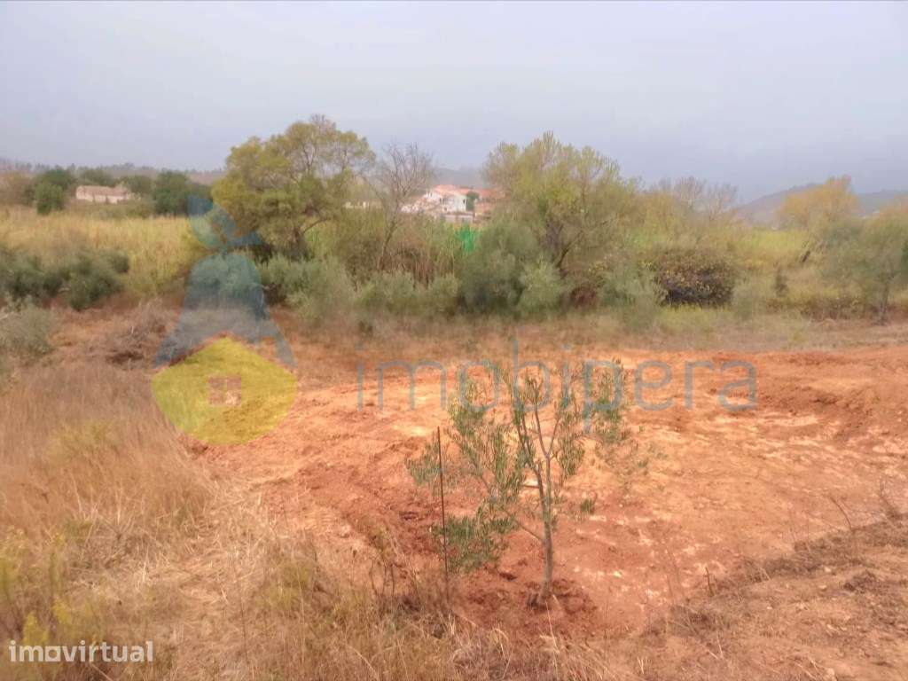 Terreno com prado natural, a 8 km de Messines, cultura arvense e le... - Grande imagem: 2/7