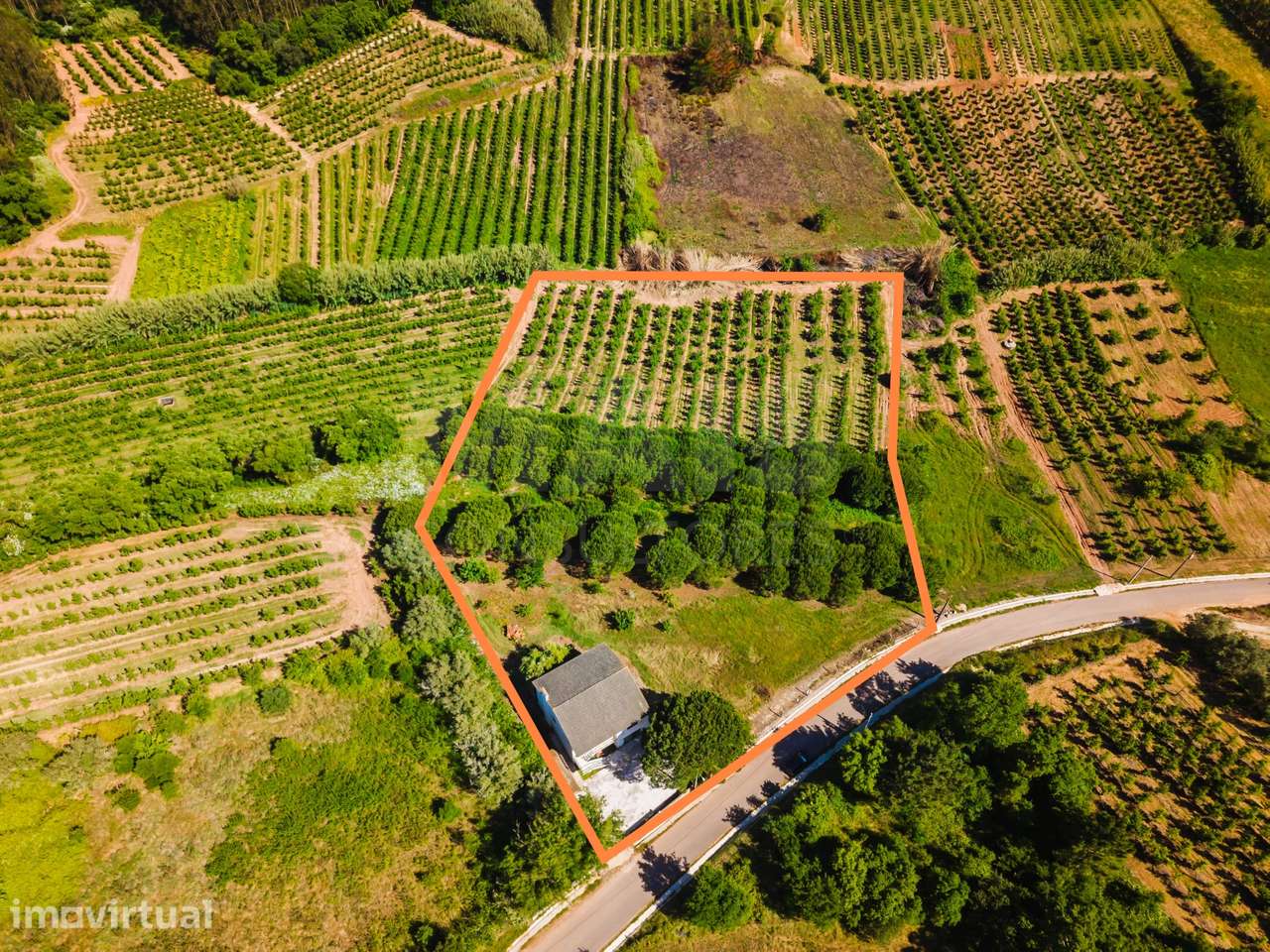 Moradia Isolada com Terreno de 9.840 m² em Barreiras – Cadaval - Grande imagem: 3/39