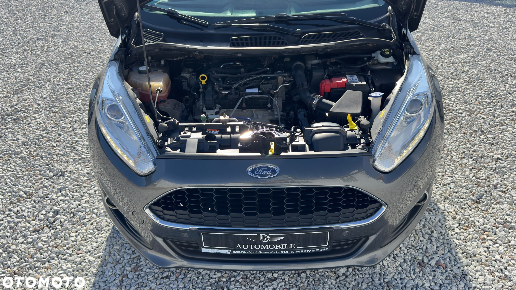Ford Fiesta - 25
