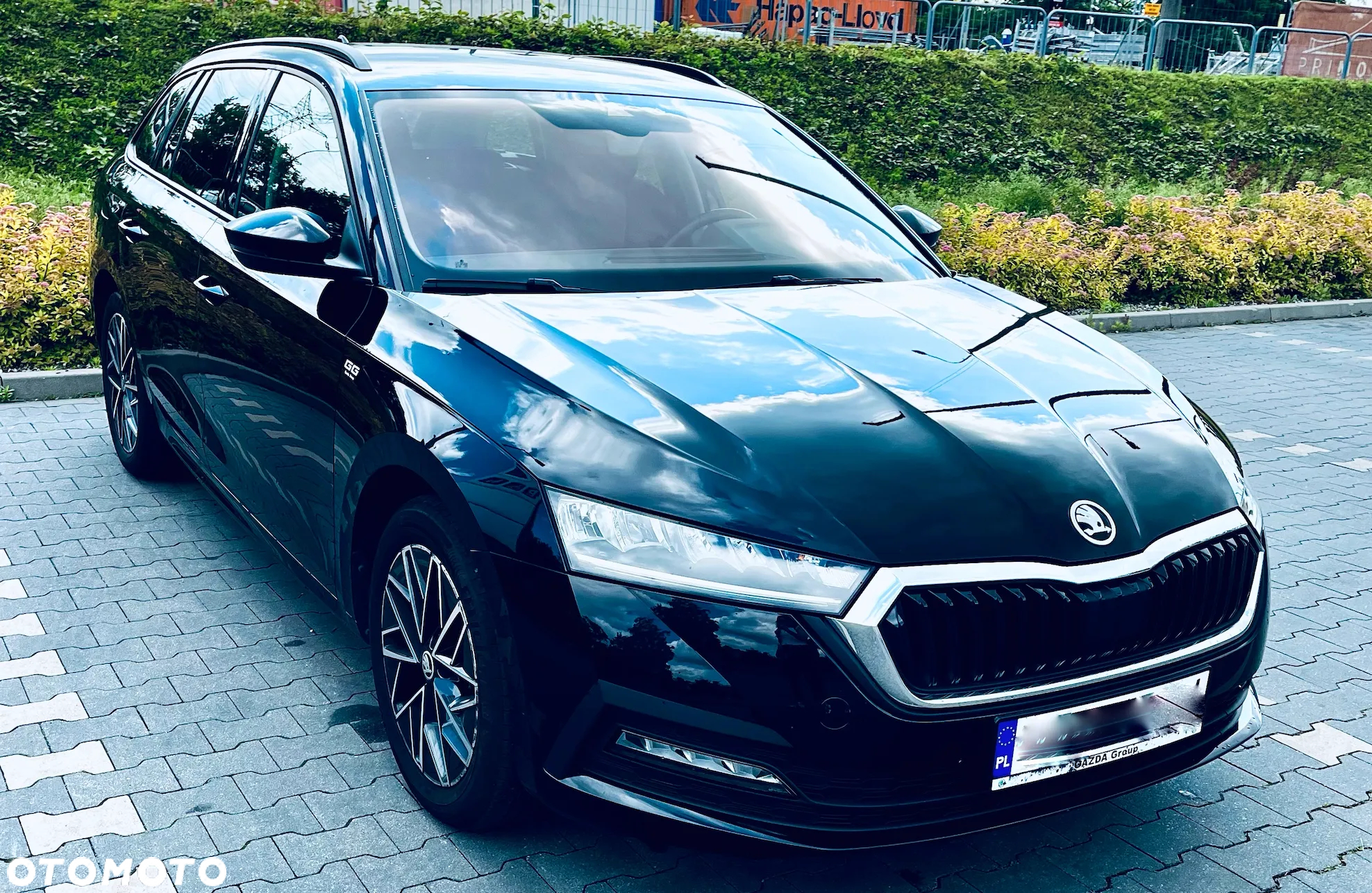 Skoda Octavia - 5