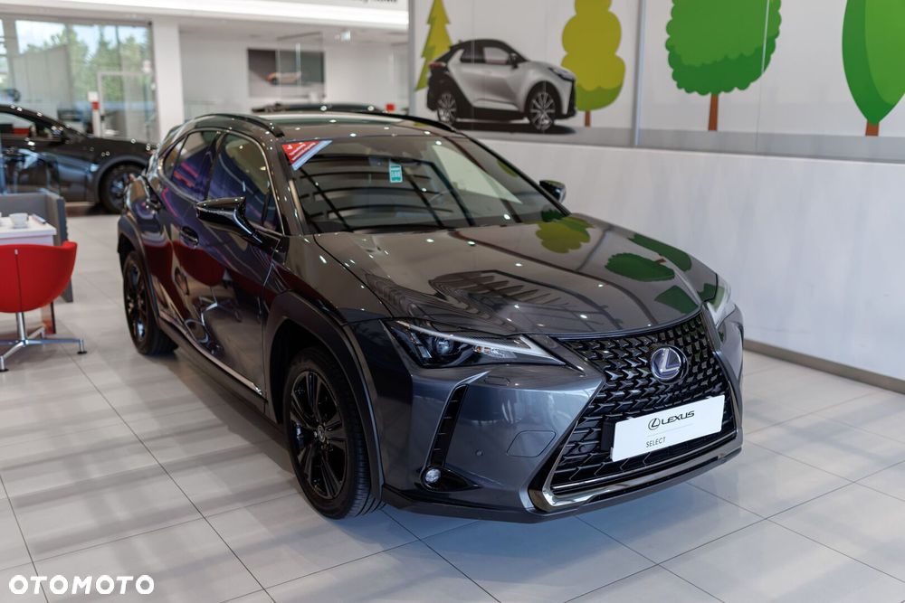 Lexus UX - 10
