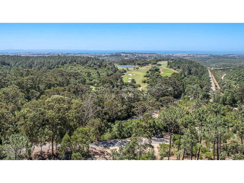 Terreno com 31.480 m2 junto à Estrada da Lagoa Azul, Penha Longa - Grande imagem: 4/32