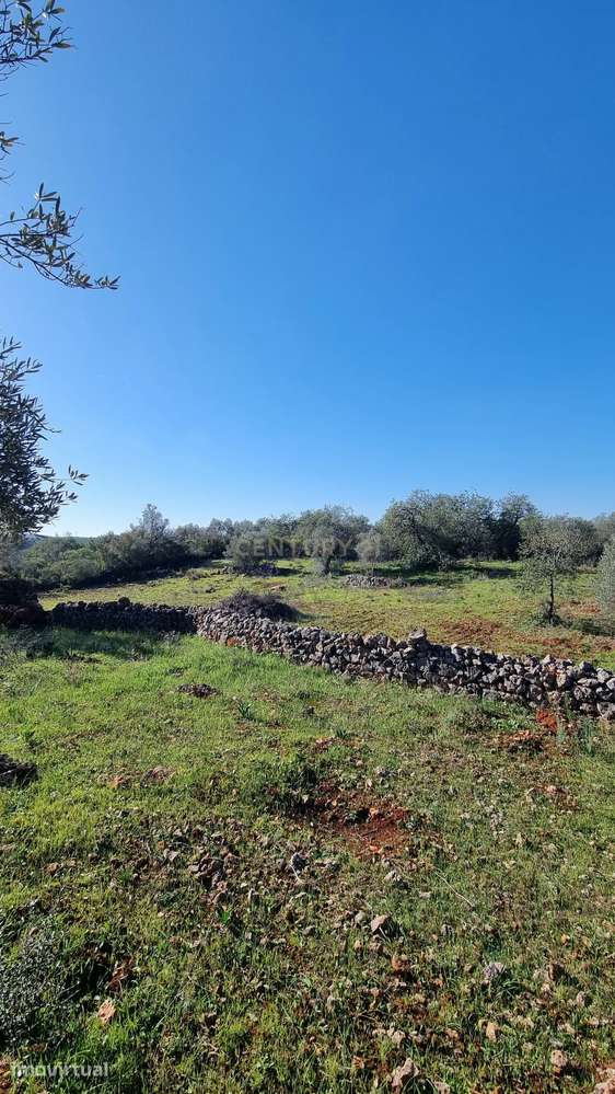 Terreno com 2720 m2 a 12min de Albufeira - DISPONIVEL - Grande imagem: 4/7