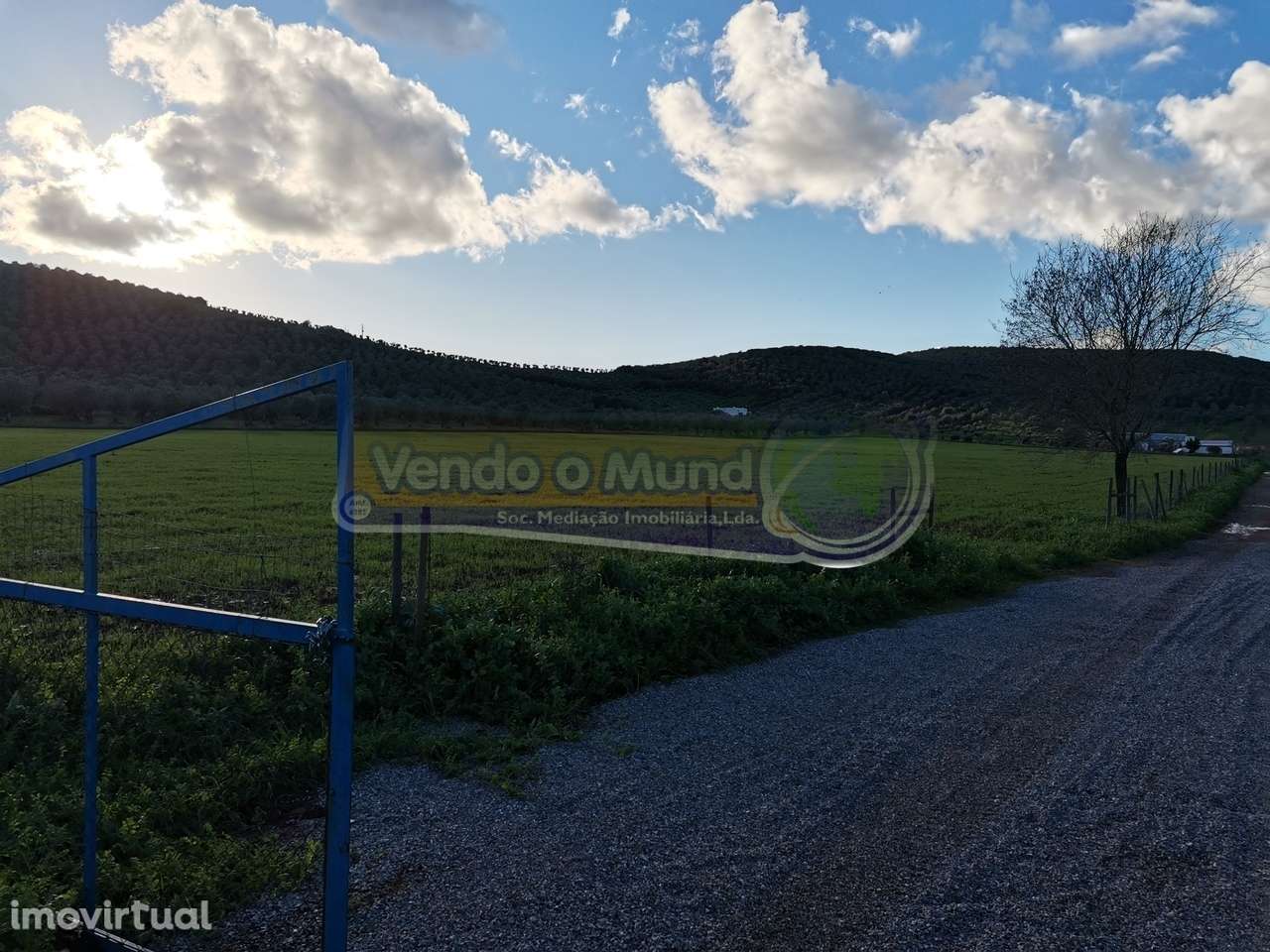 Terreno em Sousel, Portalegre (PSL001) - Grande imagem: 2/13