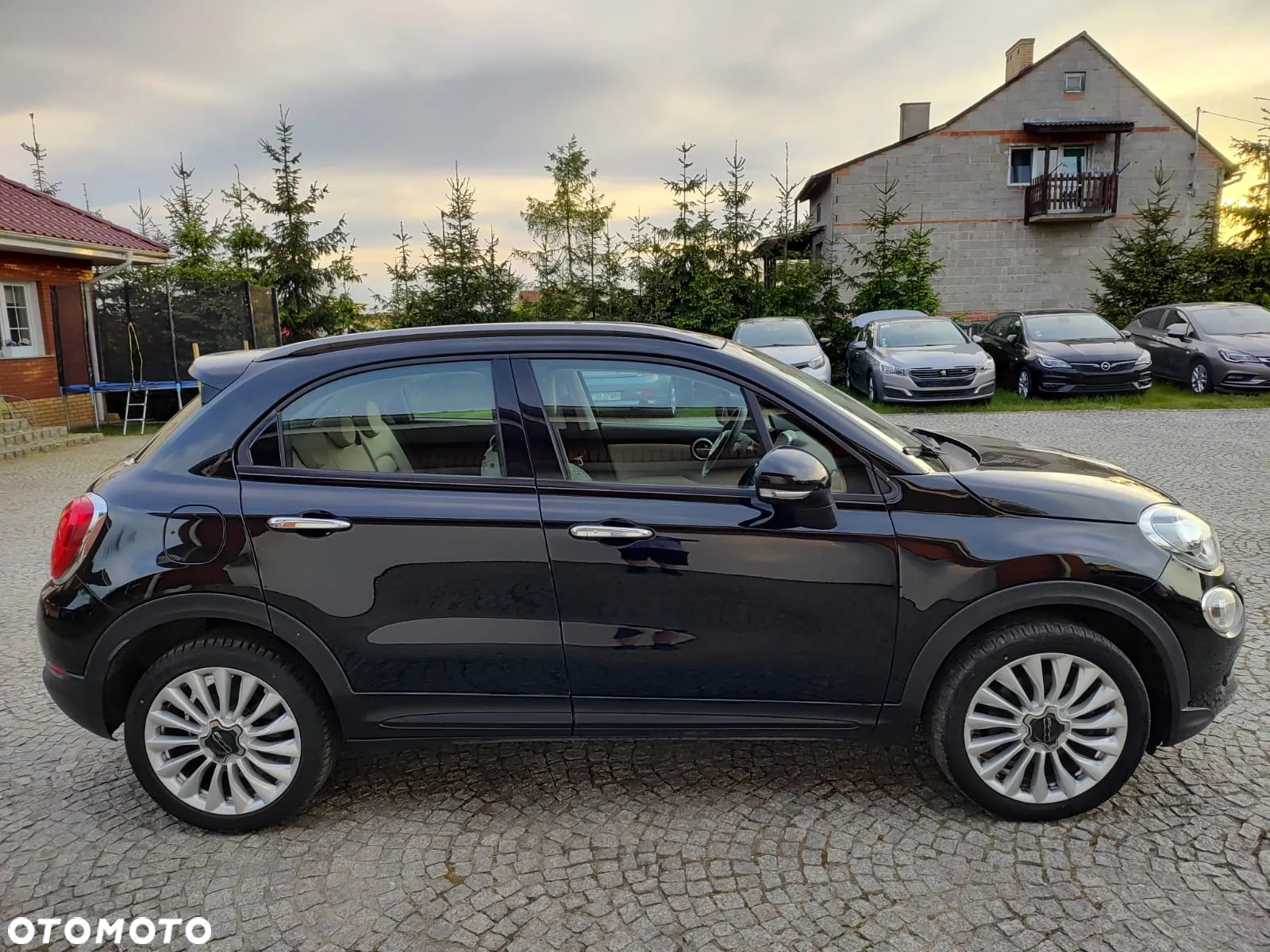 Fiat 500X 1.6 Multijet 4x2 S&S 120TH - 5