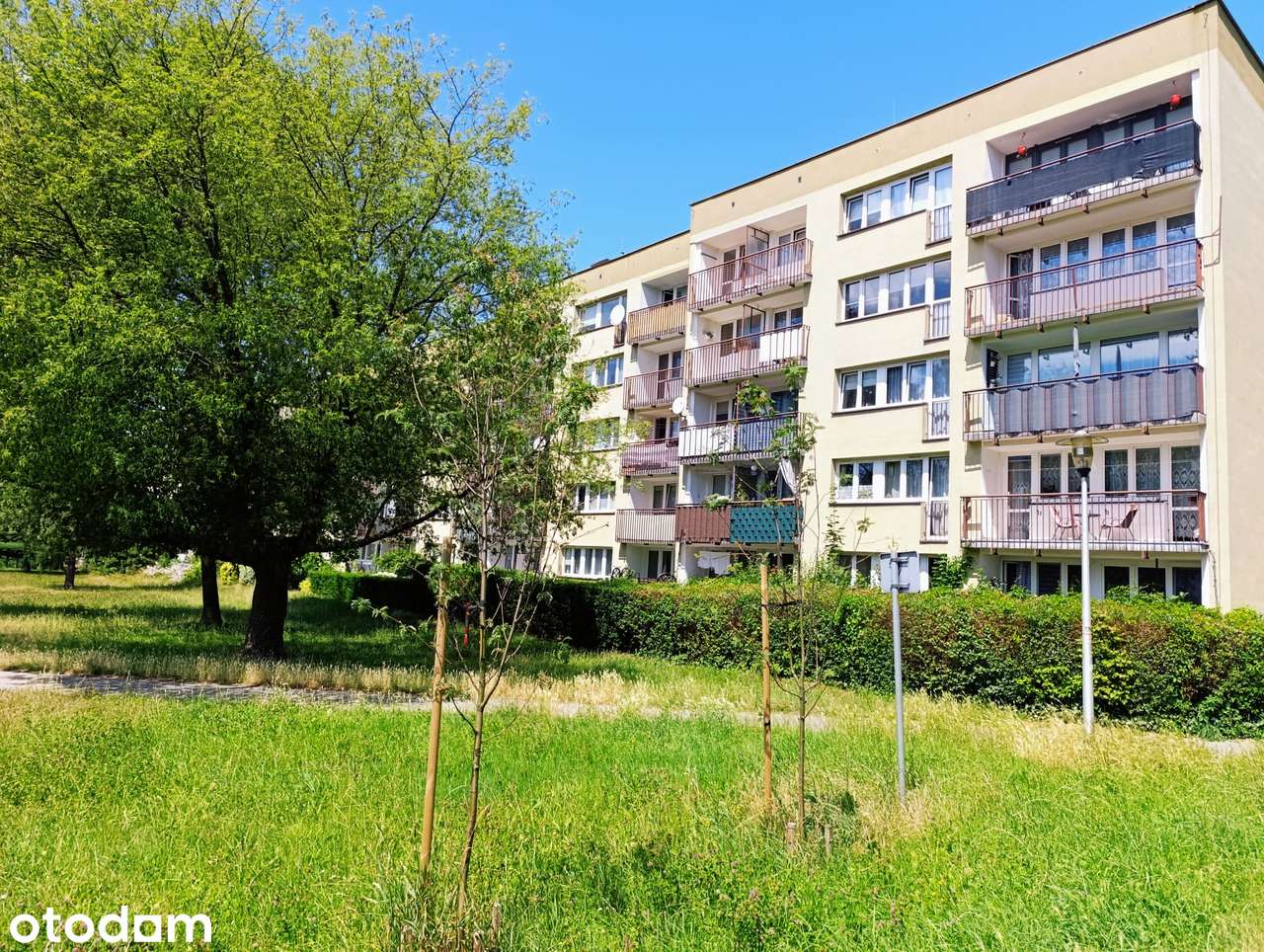 UL. MOZARTA / OS. M / PARTER / OGRÓDEK / 2 POKOJE / NISKI BLOK