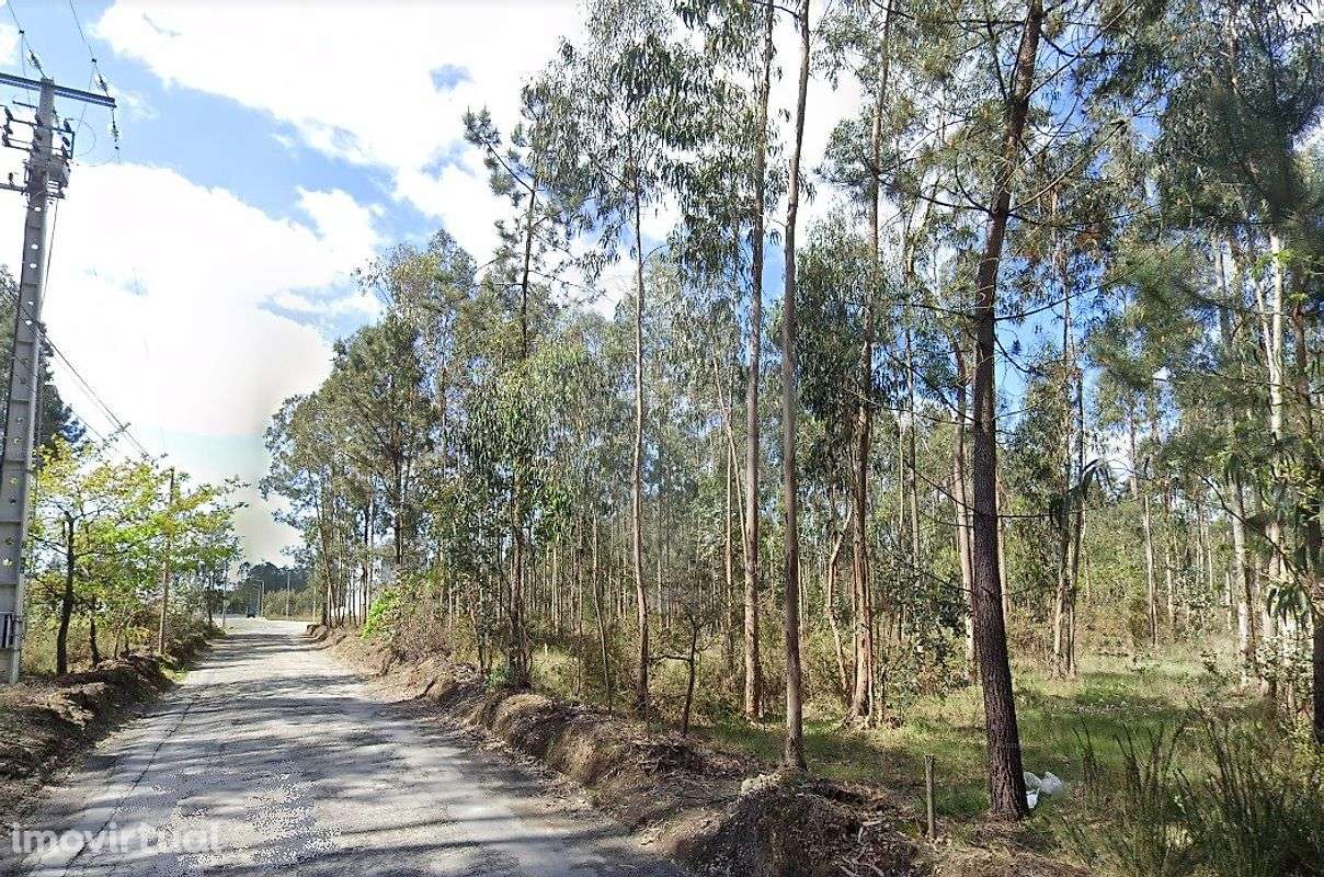 Terreno  para venda - Grande imagem: 5/9