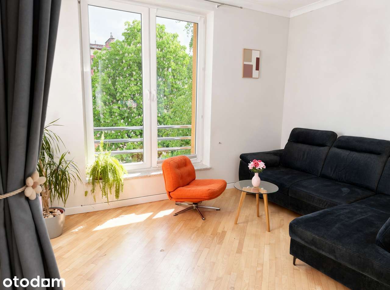 Przestronne mieszkanie 81 m² | Bezpośrednio