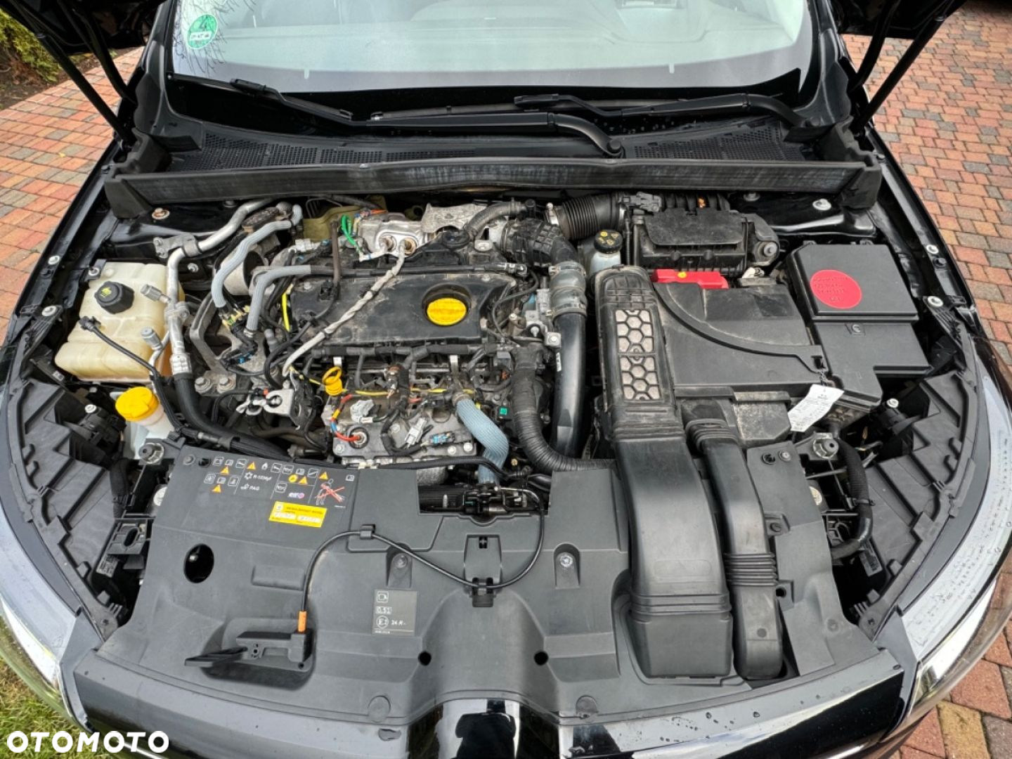 Renault Megane - 22