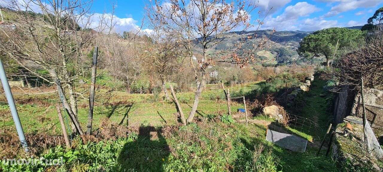 Quinta / Marco de Canaveses, Penhalonga e Paços de Gaiolo - Grande imagem: 2/6