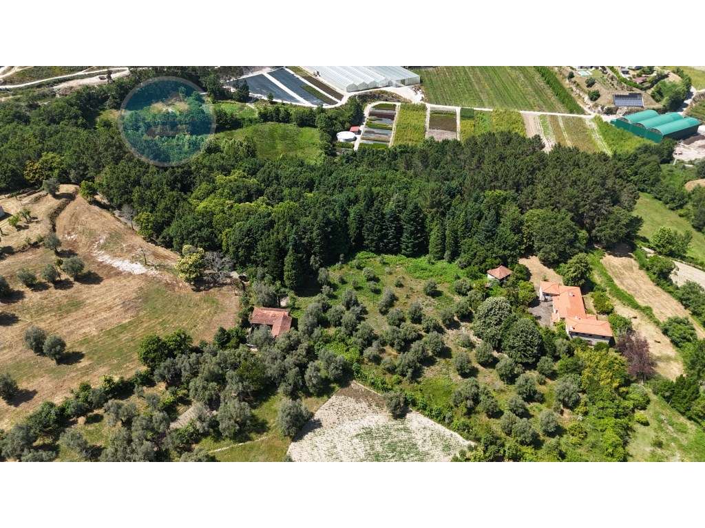 Quinta à venda, localizada no Lugar de Água Redonda, Cabeceiras de ... – pohled 2