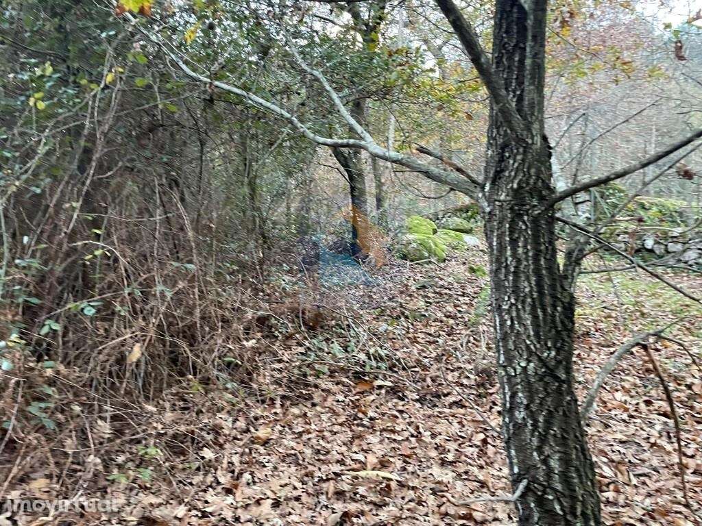 Terreno na cidade de Fafe com 42 585 m2. - Grande imagem: 3/6