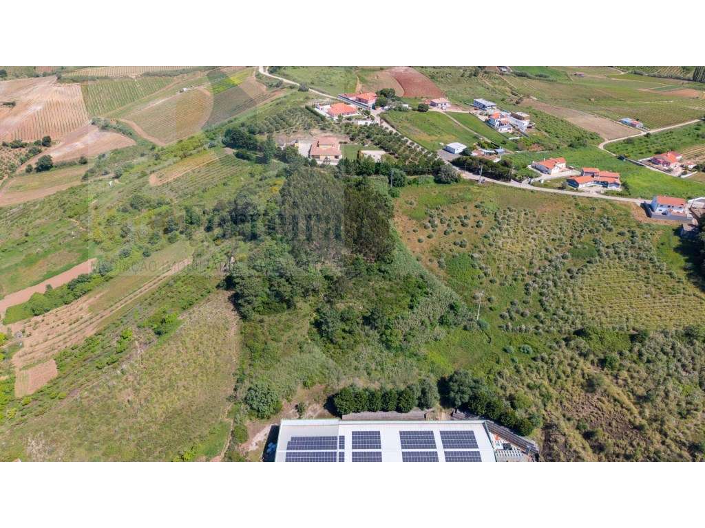 Terreno com mais de 1ha com grande área para construção - Grande imagem: 5/5