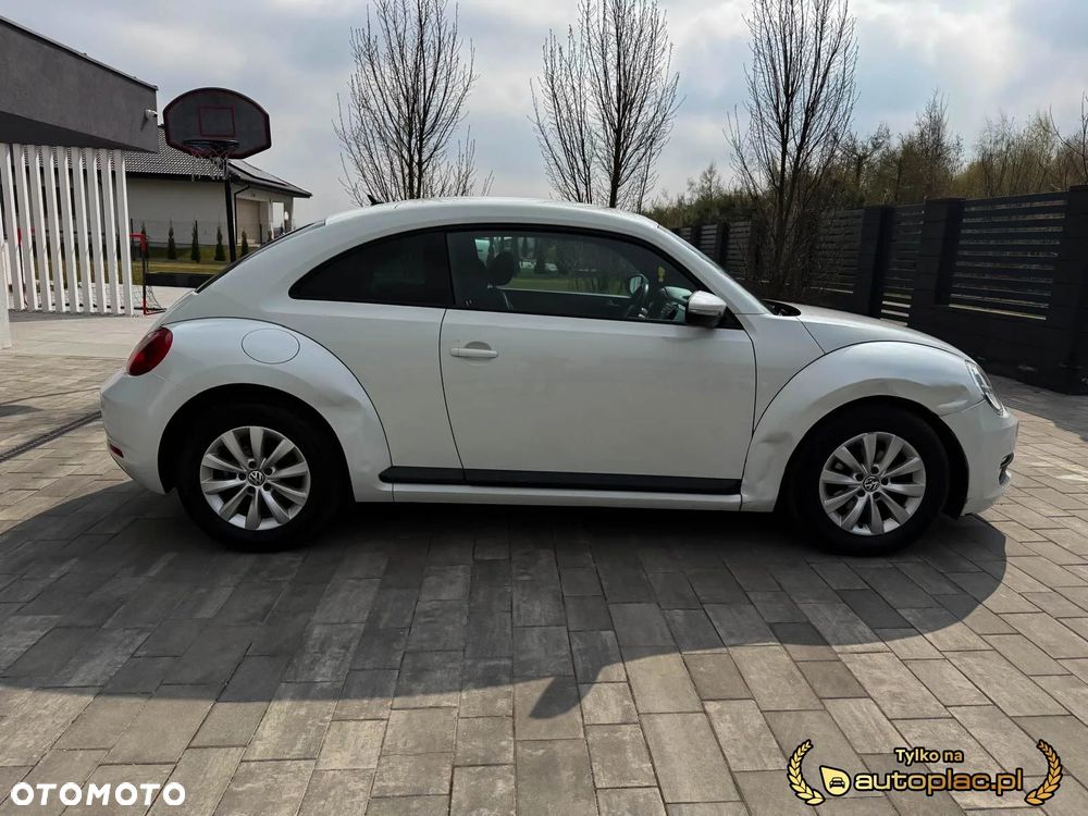 Volkswagen Beetle - 17