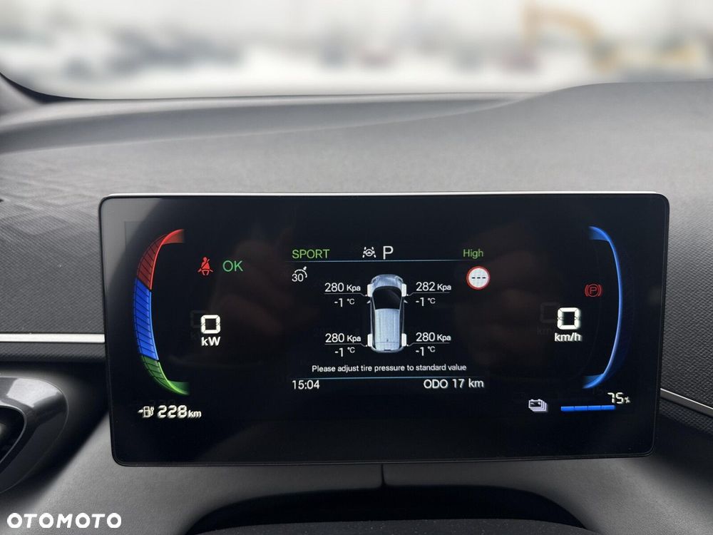 BYD Dolphin Surf - 15