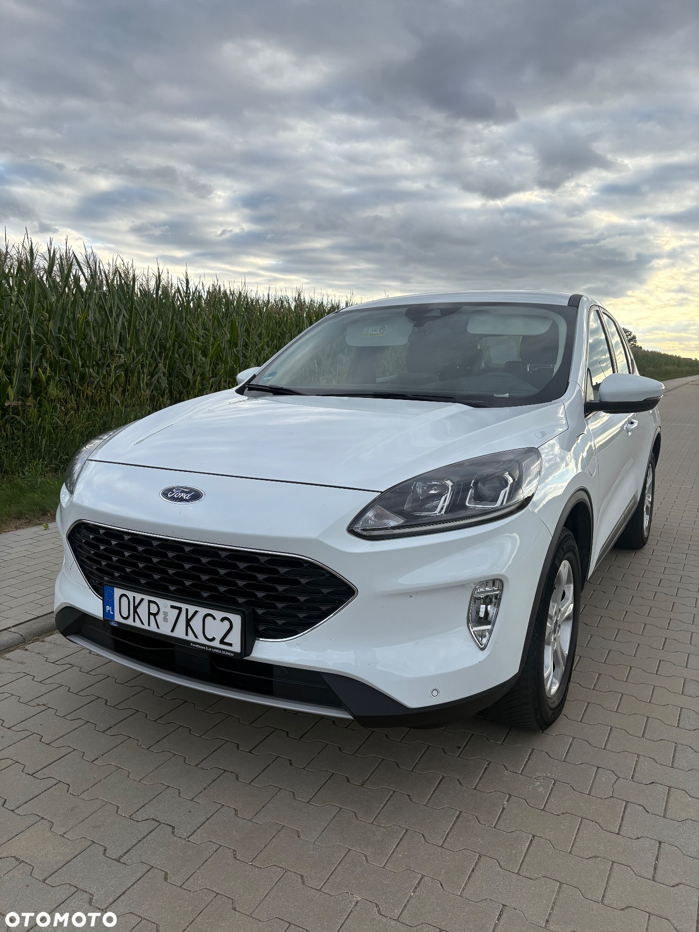 Ford Kuga - 4
