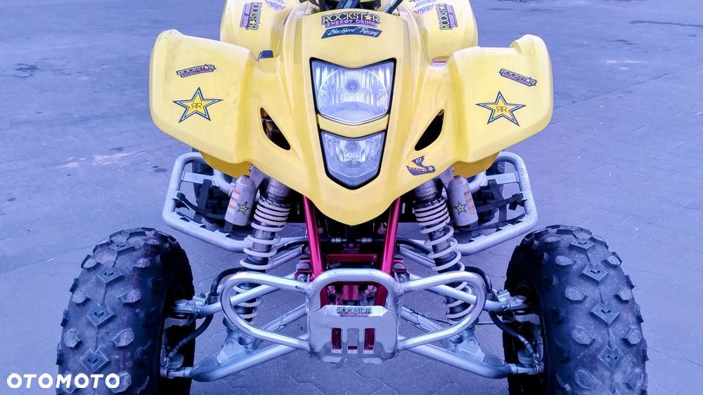 Kawasaki Brute Force - 34