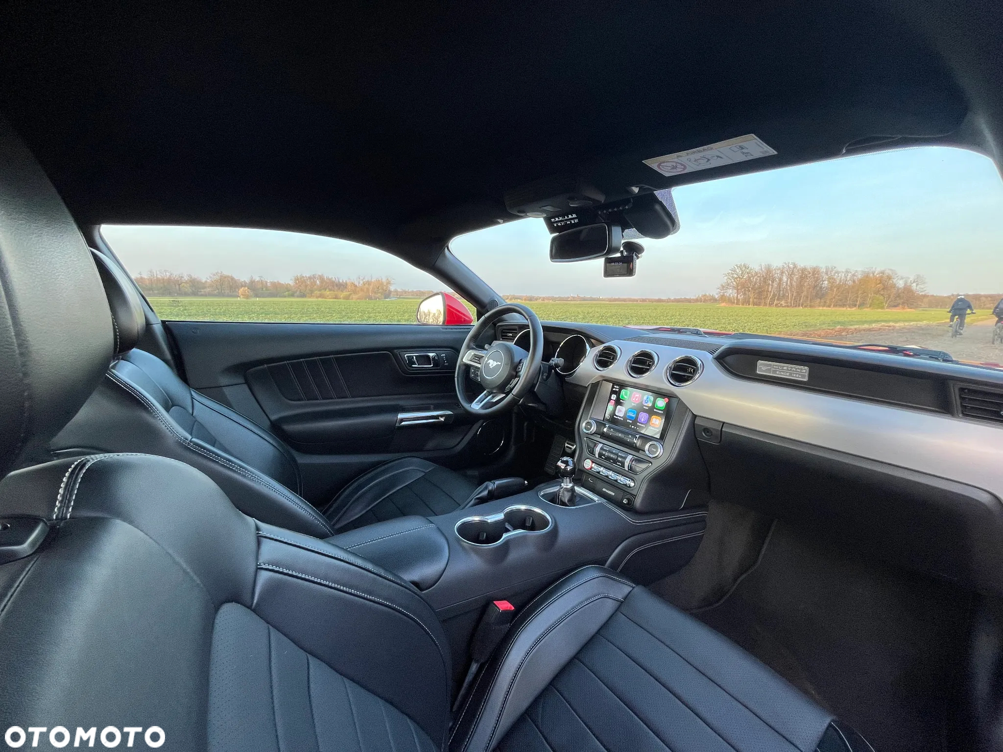 Ford Mustang 5.0 V8 GT - 19