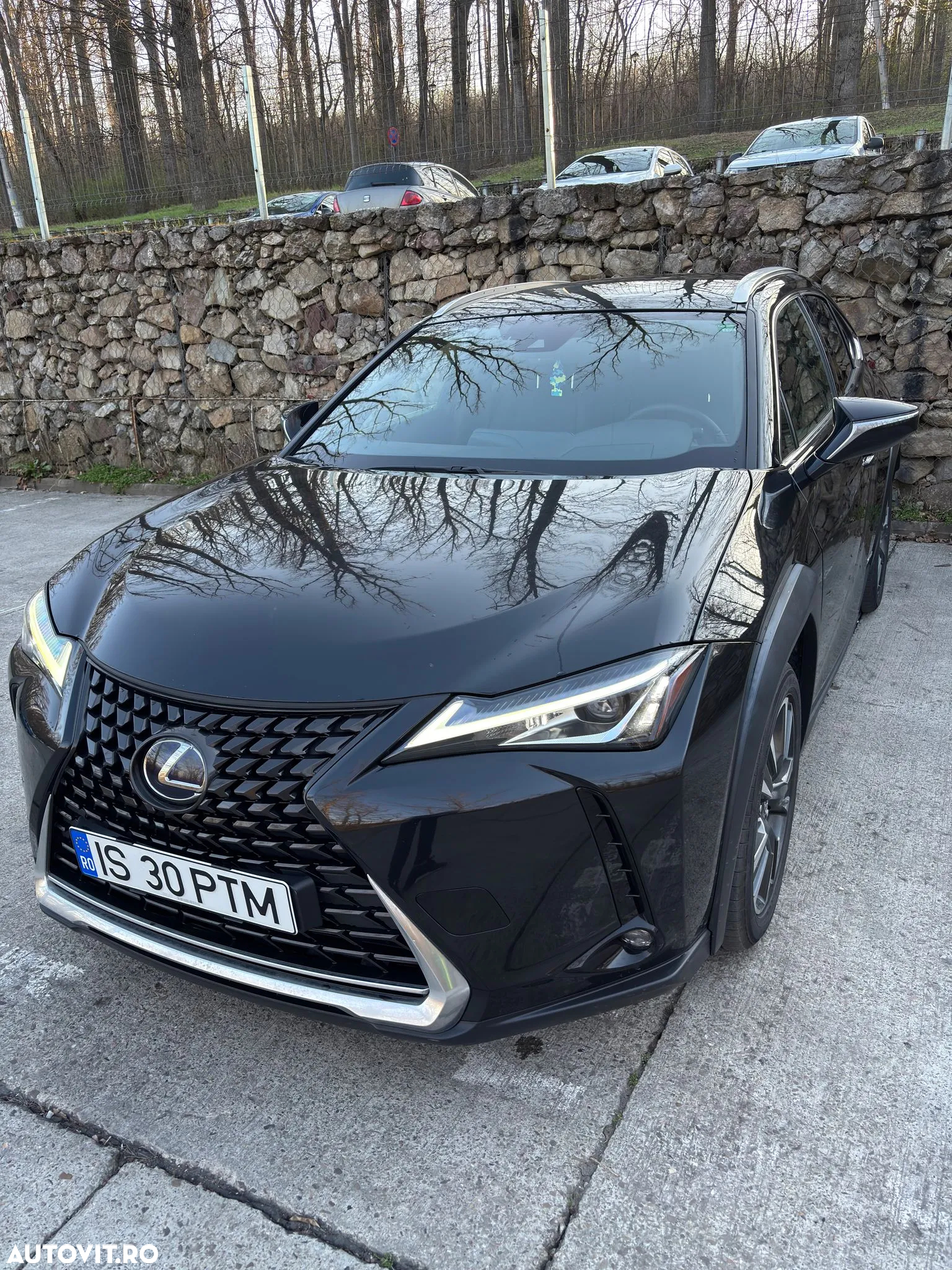 Lexus UX 250h - 7