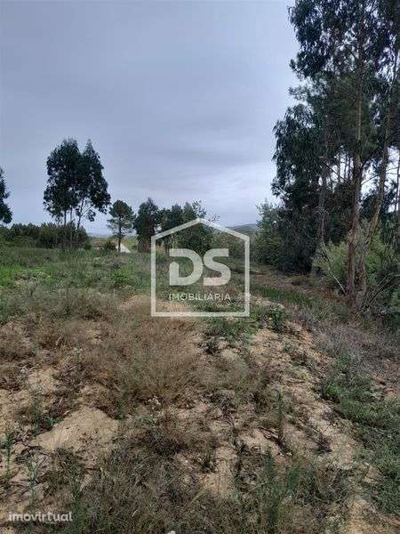 Terreno urbanizável -  Famalicão - Nazaré - Grande imagem: 4/6