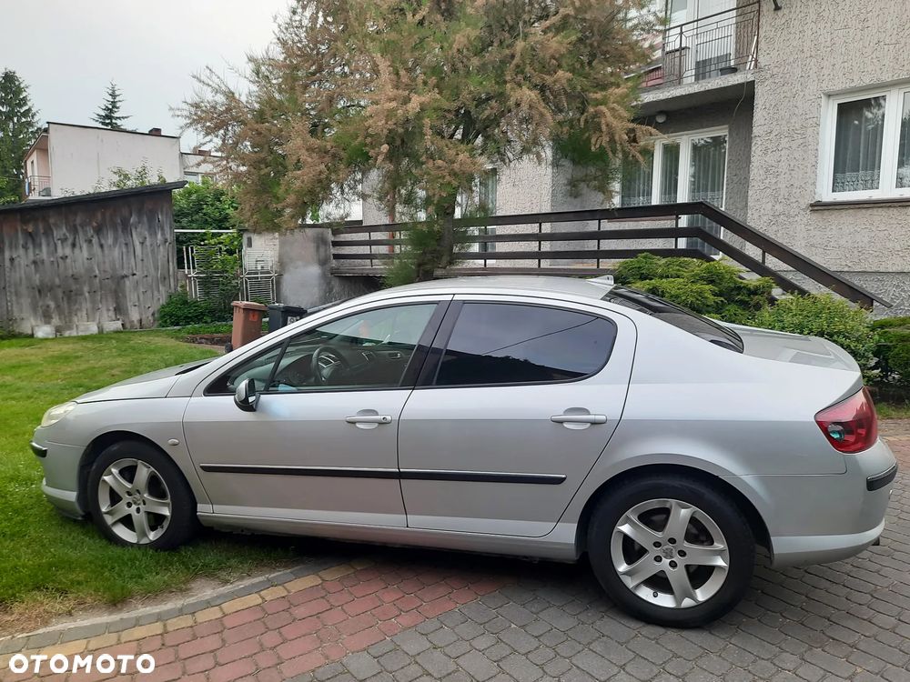 Peugeot 407 160 Platinum - 7