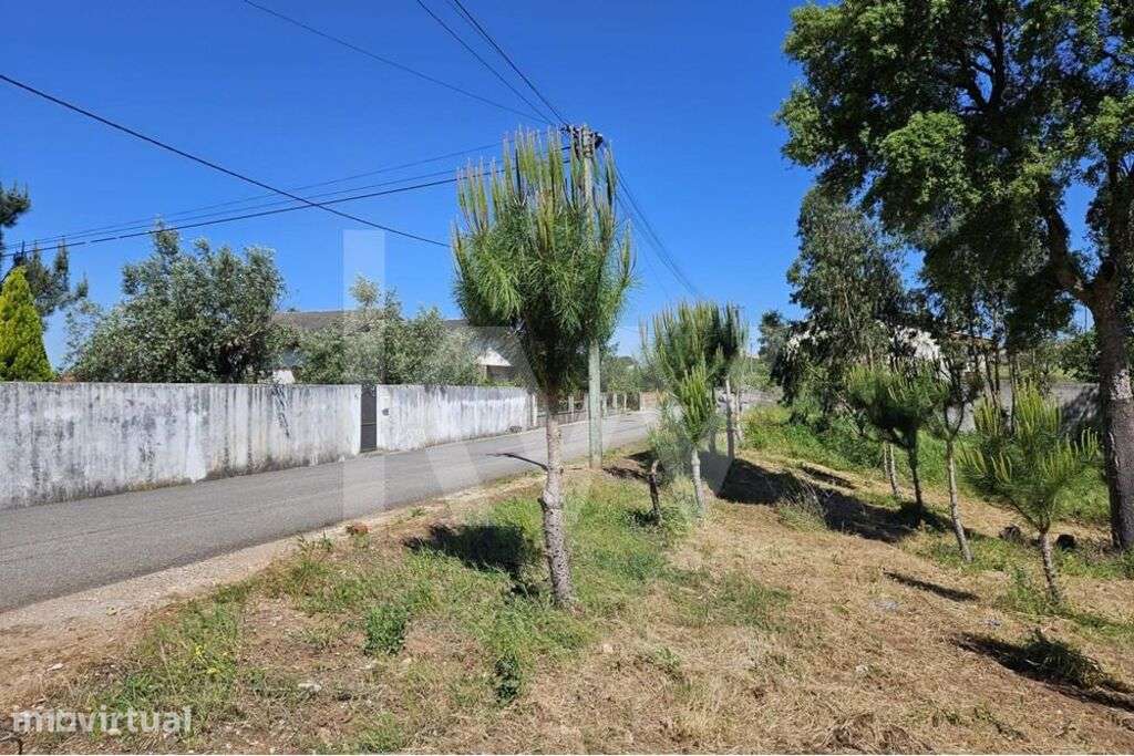 Terreno | Viabilidade de construção | 2.318 m2 | Boa exposição solar - Grande imagem: 3/13