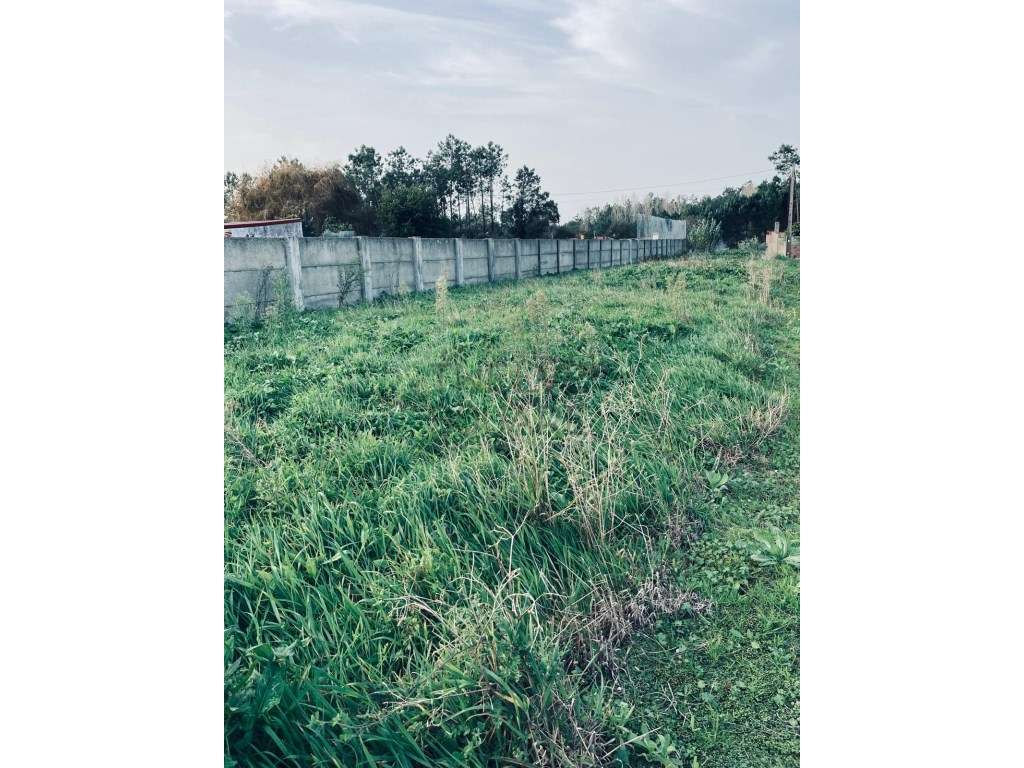 Terreno para construção de 2 moradias individuais com autorização p... - Grande imagem: 3/4