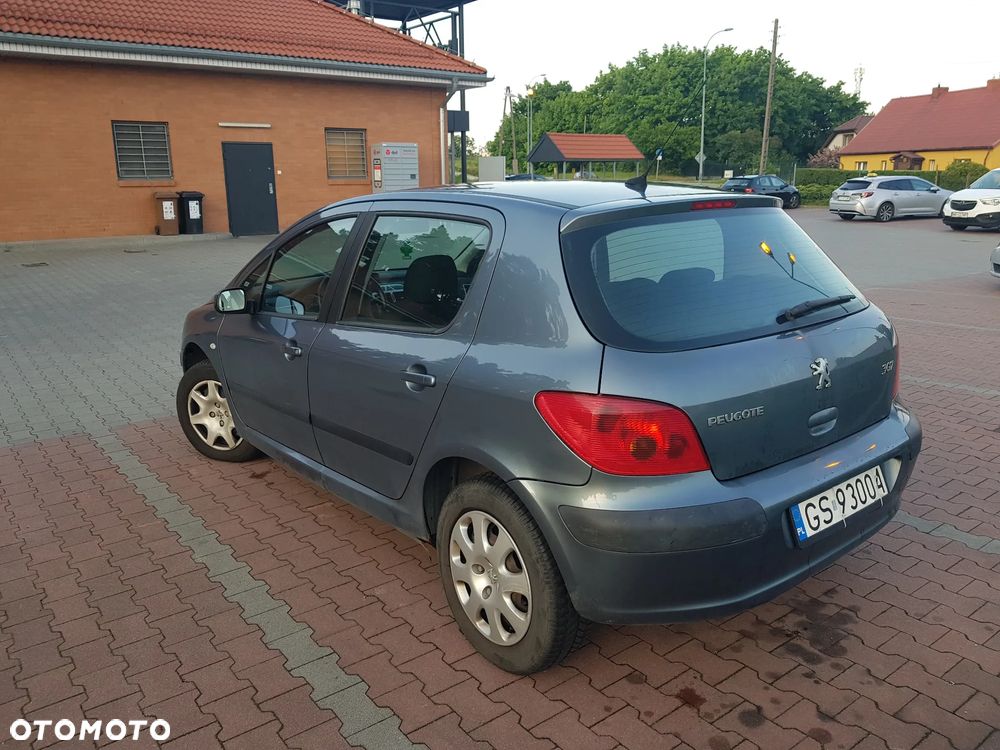 Peugeot 307 1.6 XS - 5