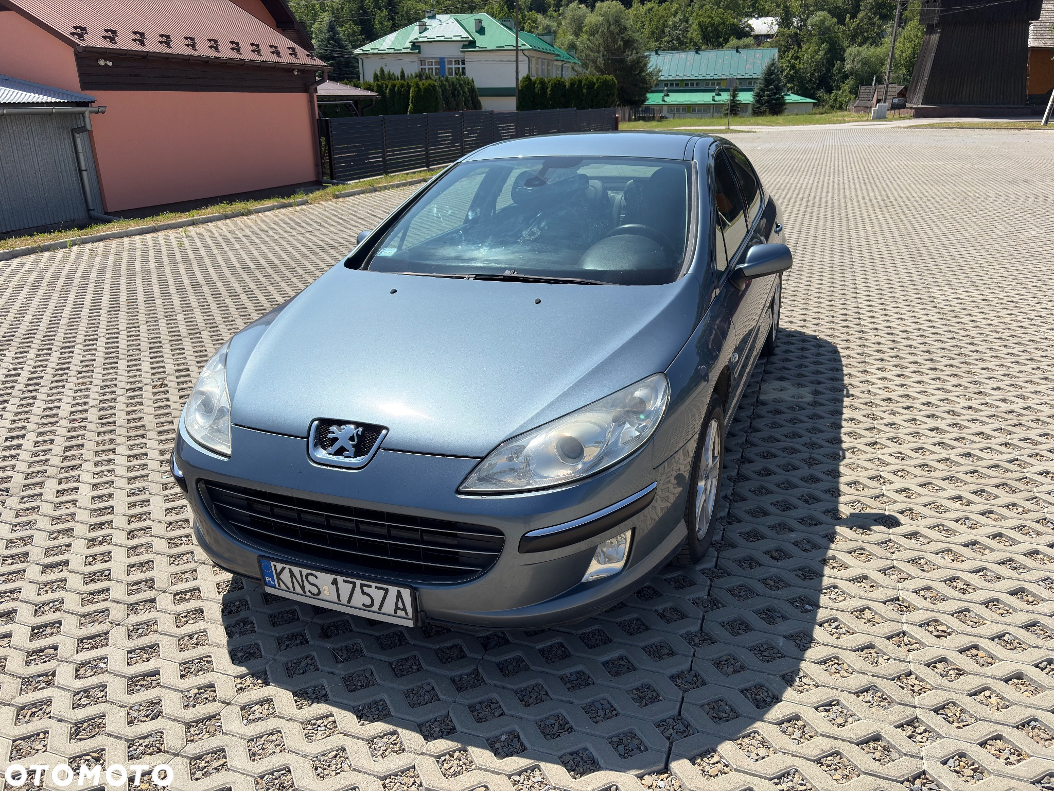 Peugeot 407 2.0 HDi Premium - 2