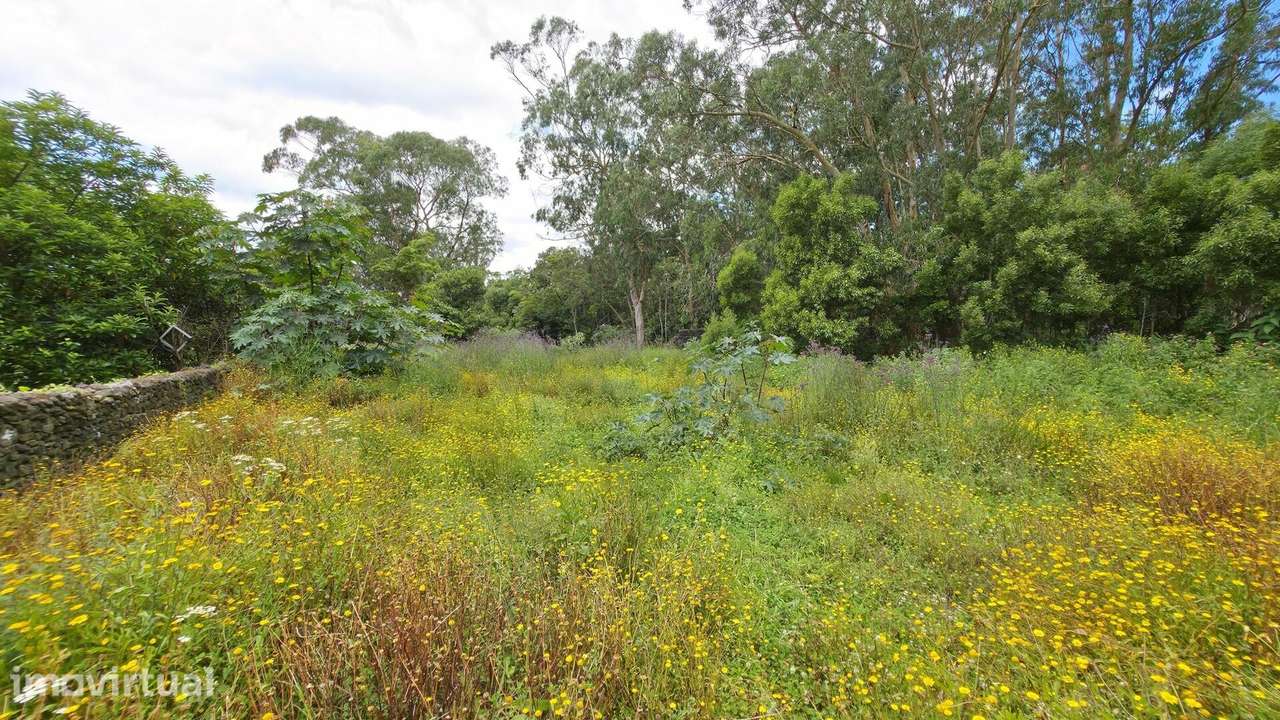 Terreno com 4500m2 no Rosário,  Lagoa - Grande imagem: 5/19