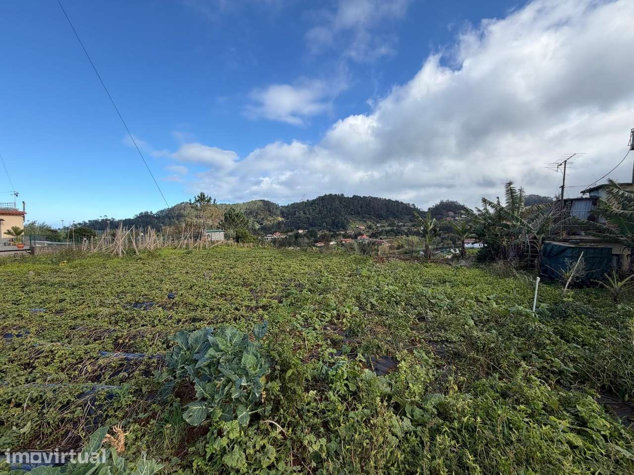 Madeira | Terreno com Potencial Extraordinário e Vista Mar - Grande imagem: 5/11