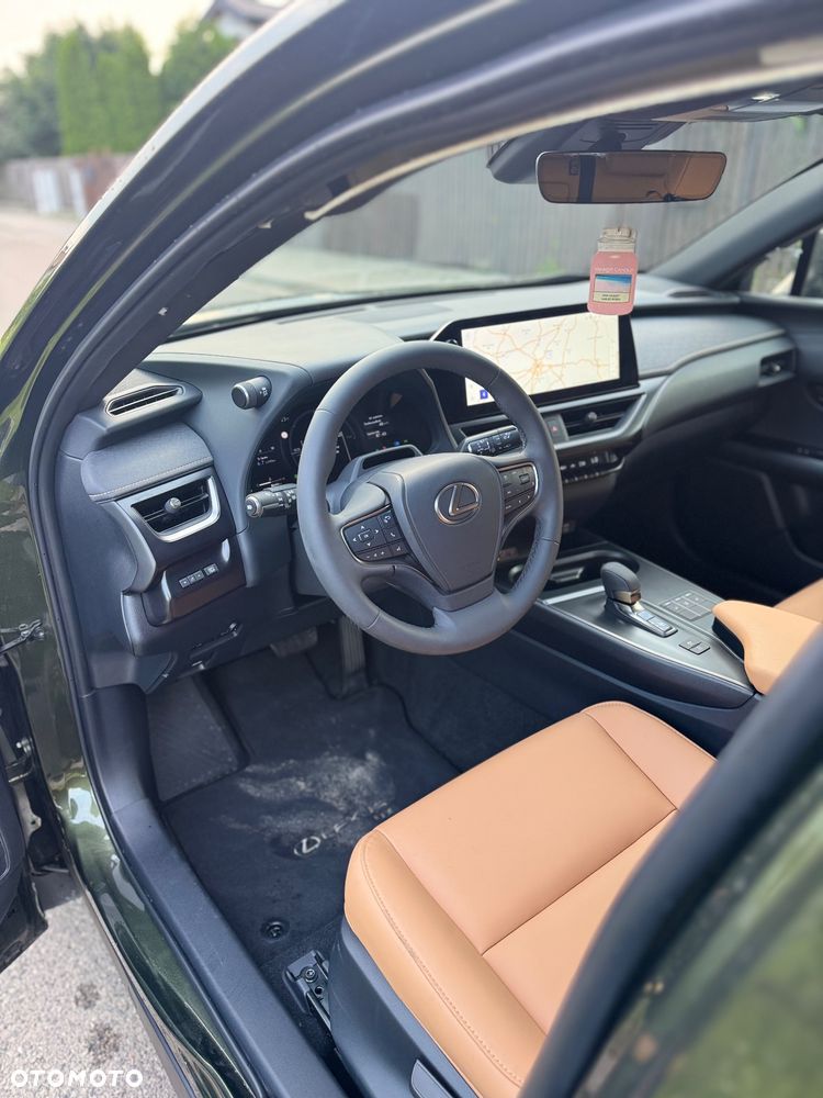 Lexus UX 300h F Sport AWD - 16