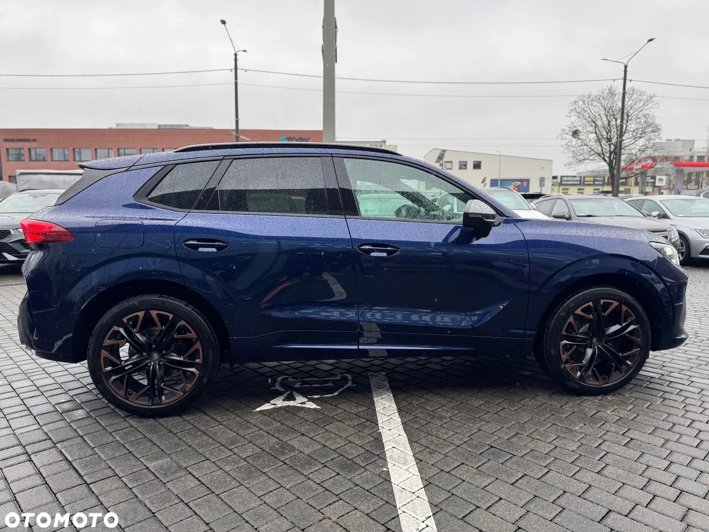 Cupra Terramar 2.0 TSI 4Drive DSG - 10