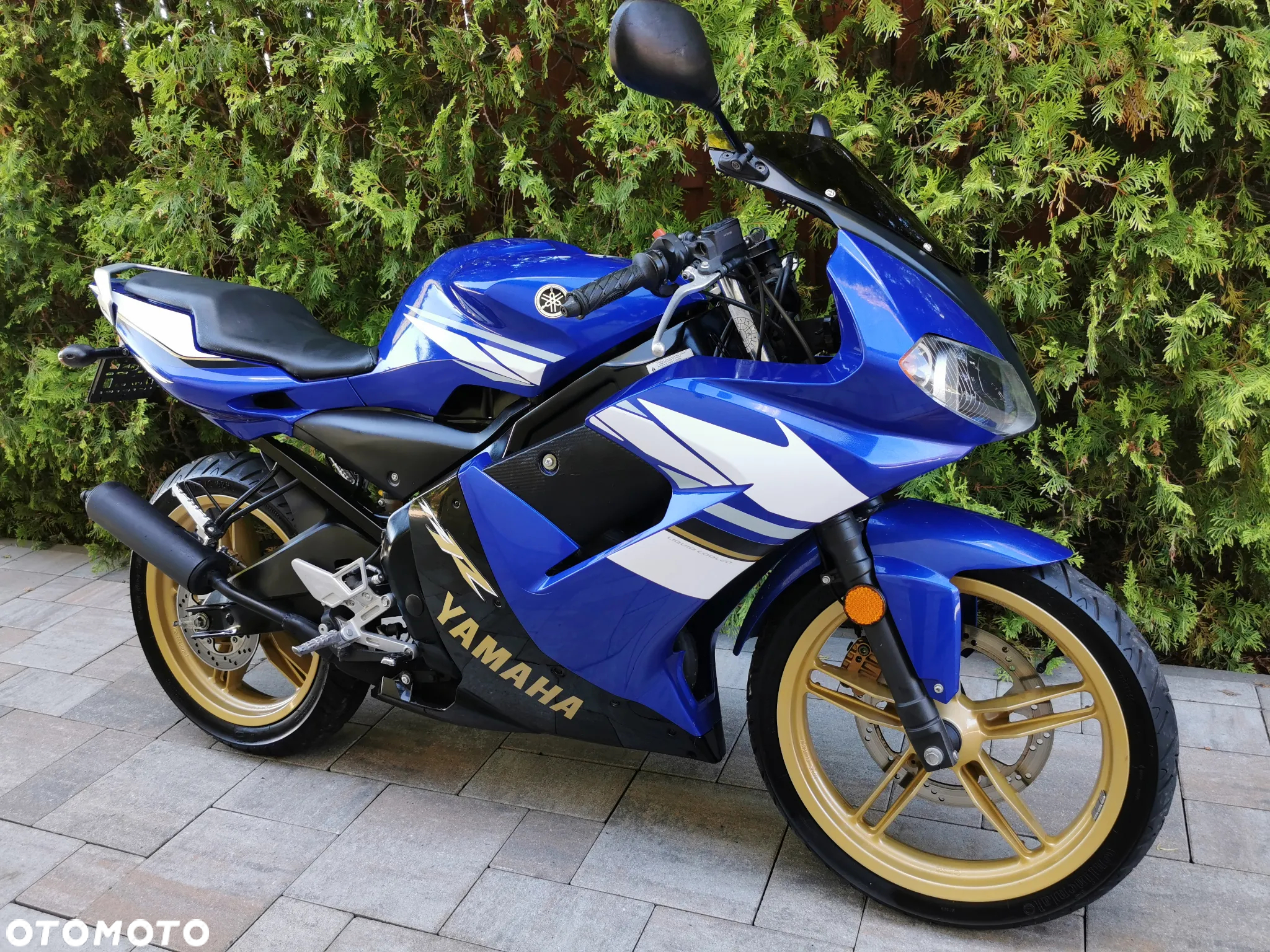 Yamaha TZR - 6