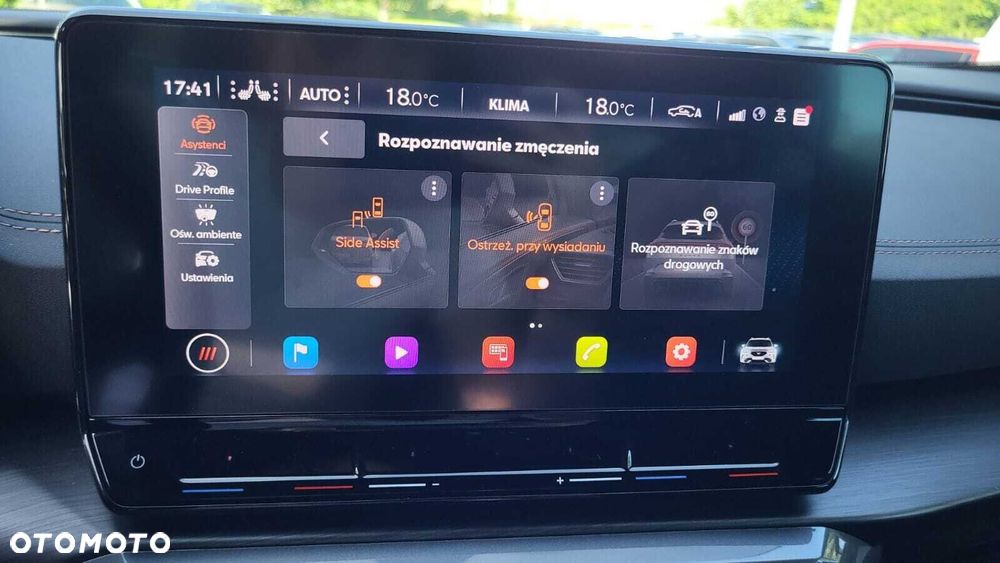 Cupra Formentor 2.0 TSI 4Drive DSG - 30