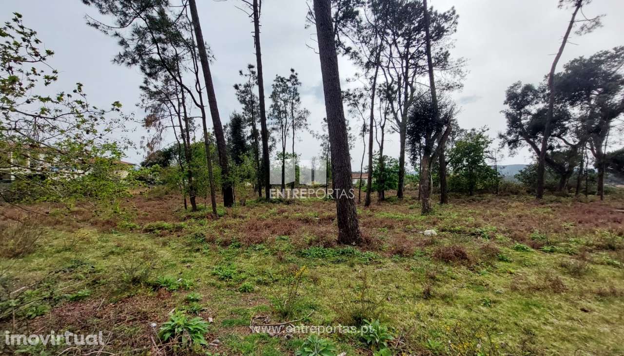 Venda de fantástico terreno para construção, Alvarães, Viana do Ca - Grande imagem: 3/30