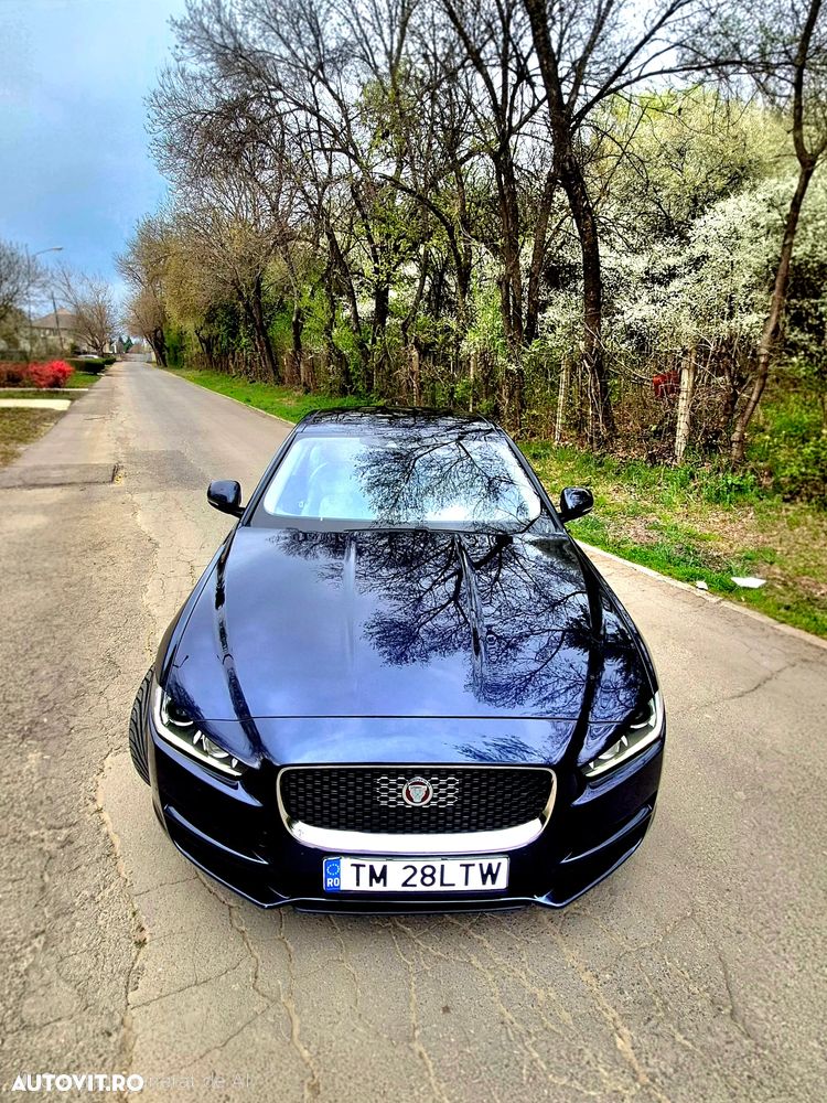 Jaguar XE 20d Aut. Portfolio - 25