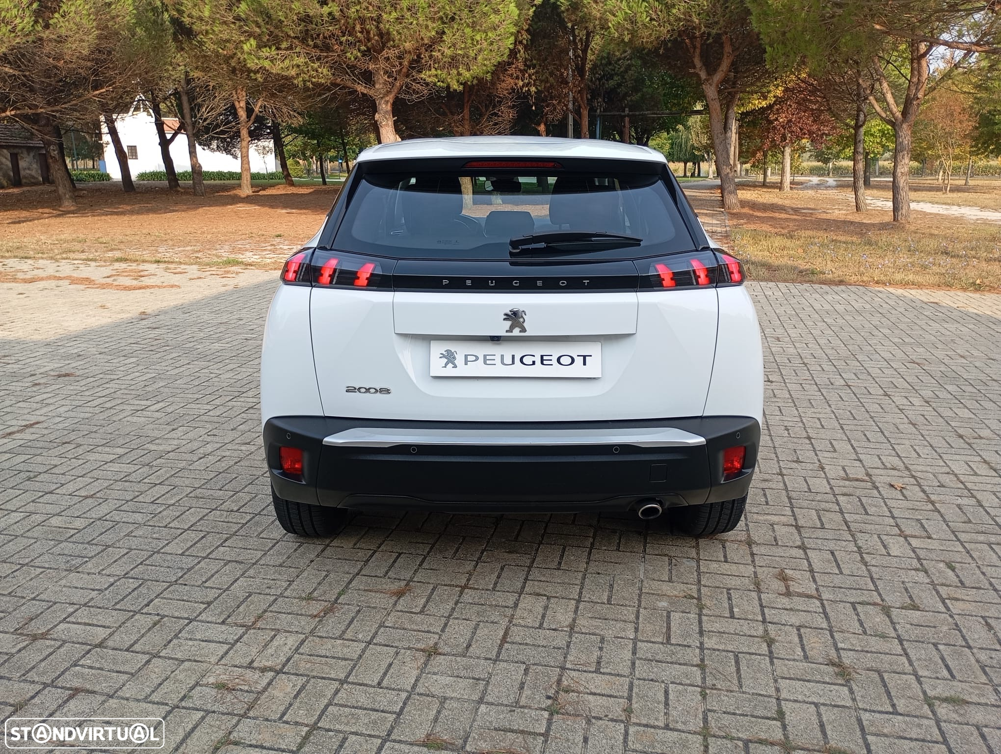 Peugeot 2008 BlueHDi 110 Active - 8